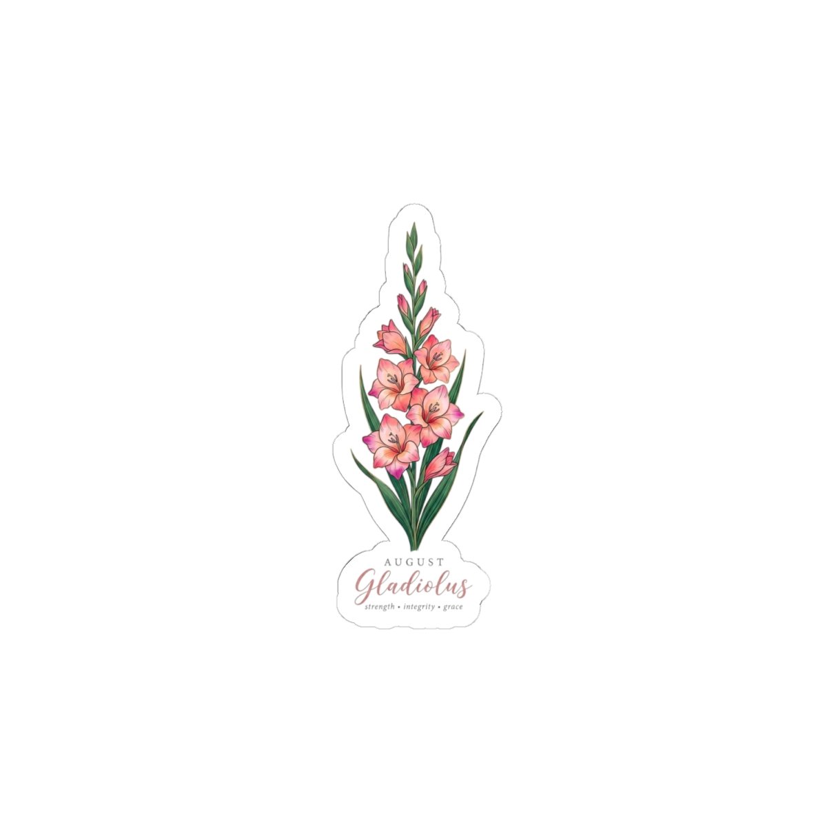 August Gladiolus Sticker | birth month flower, botanical watercolor - Image 4